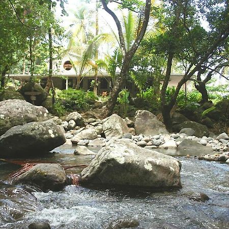 Citrus Creek Plantation Βίλα La Plaine Εξωτερικό φωτογραφία