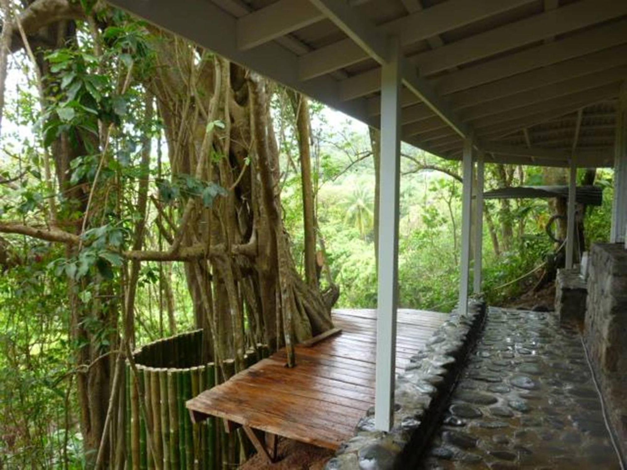 Citrus Creek Plantation Βίλα La Plaine Εξωτερικό φωτογραφία
