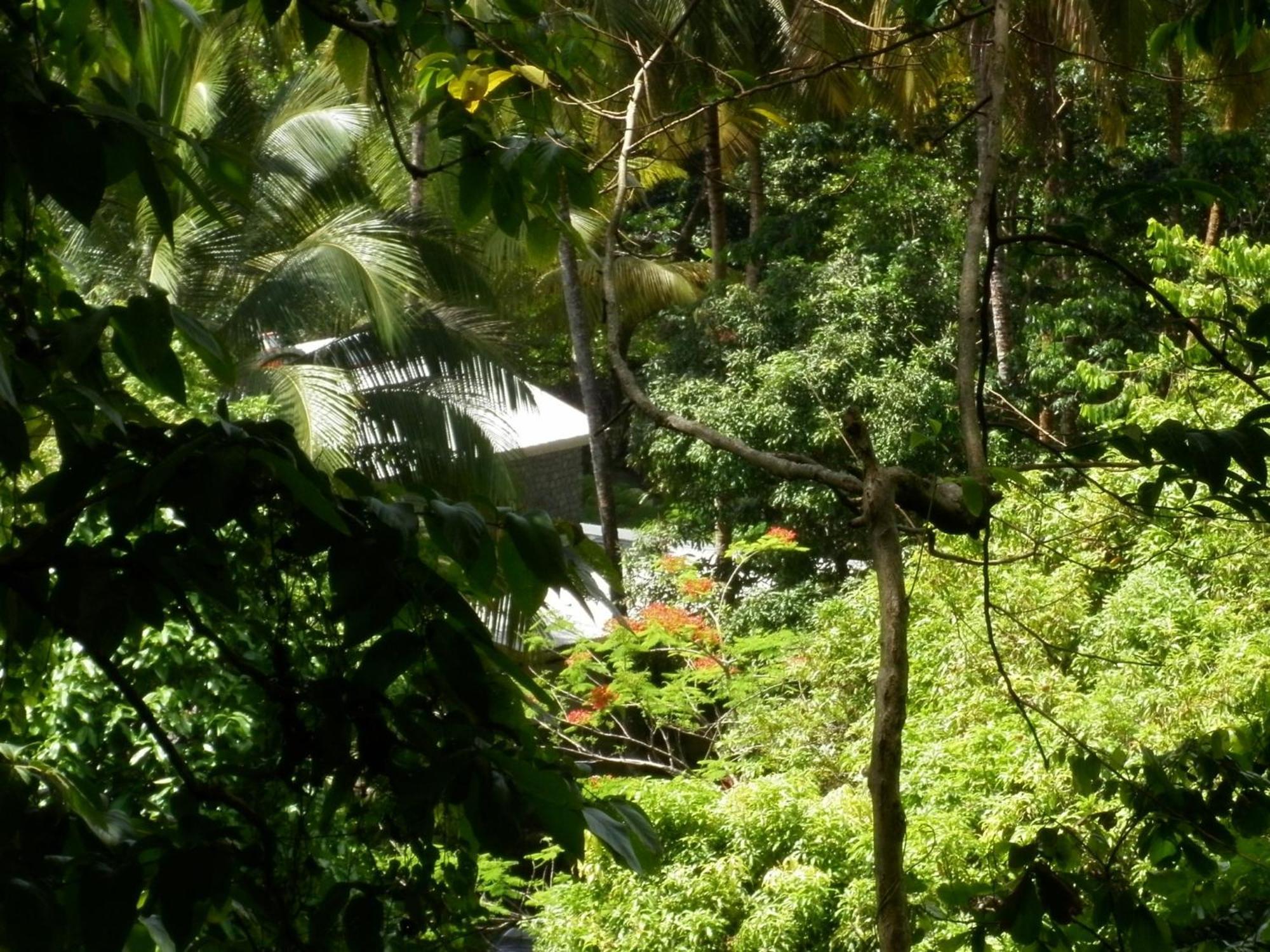 Citrus Creek Plantation Βίλα La Plaine Εξωτερικό φωτογραφία