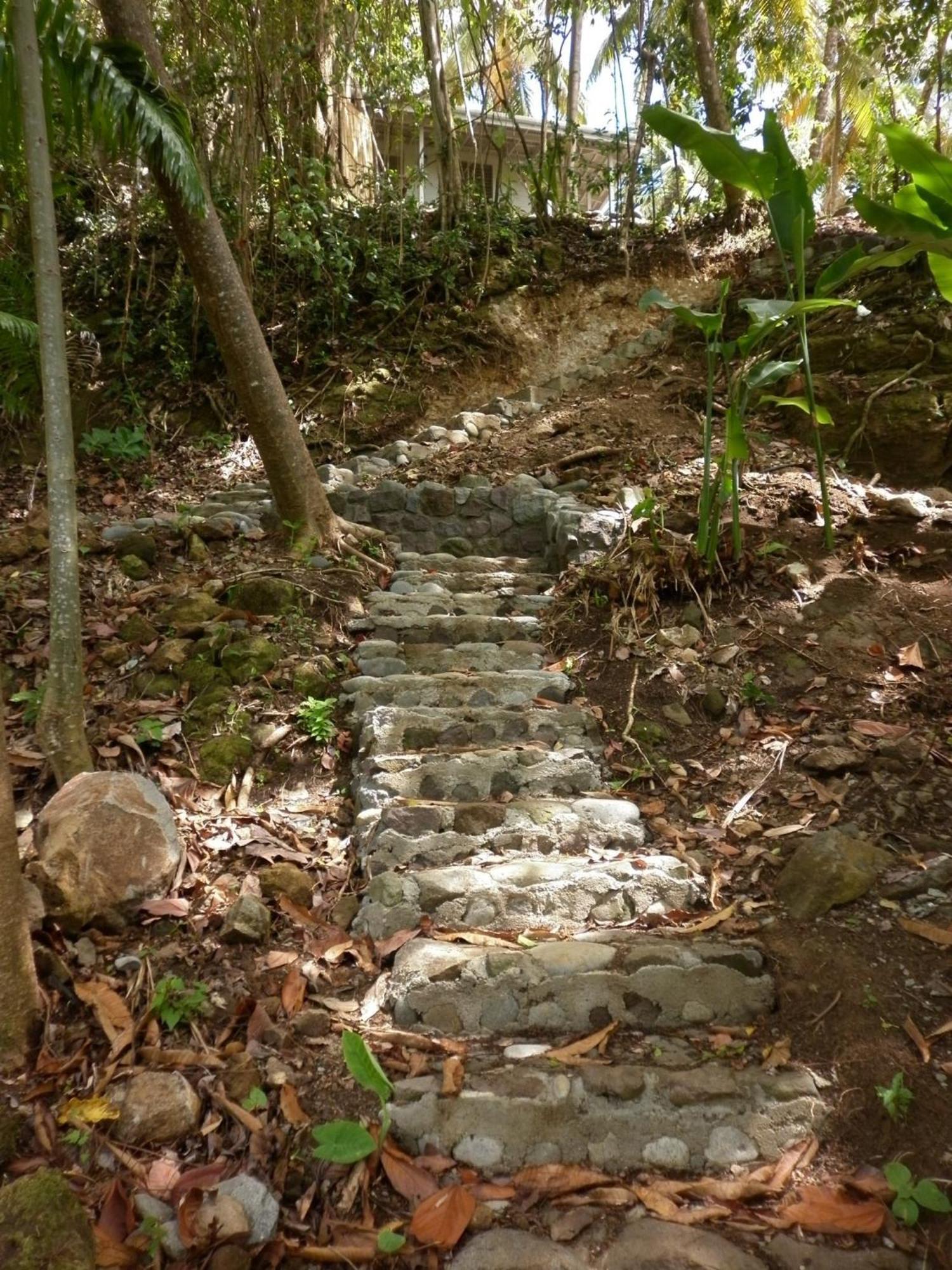 Citrus Creek Plantation Βίλα La Plaine Εξωτερικό φωτογραφία