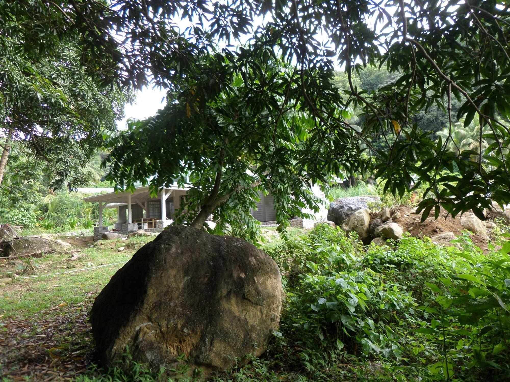 Citrus Creek Plantation Βίλα La Plaine Δωμάτιο φωτογραφία