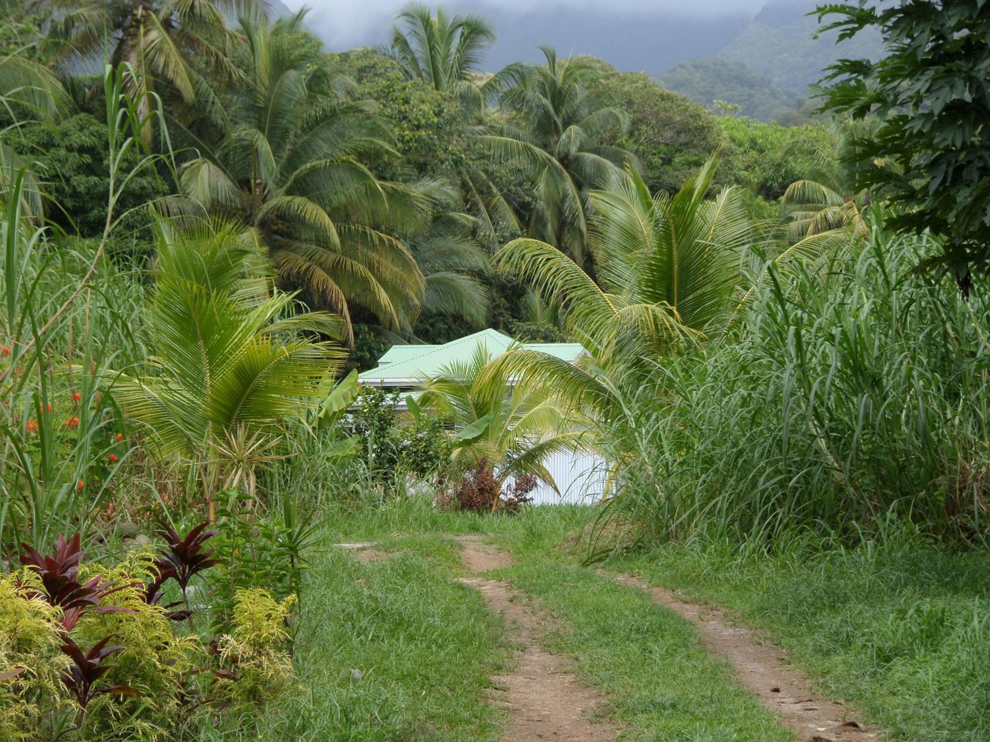 Citrus Creek Plantation Βίλα La Plaine Δωμάτιο φωτογραφία