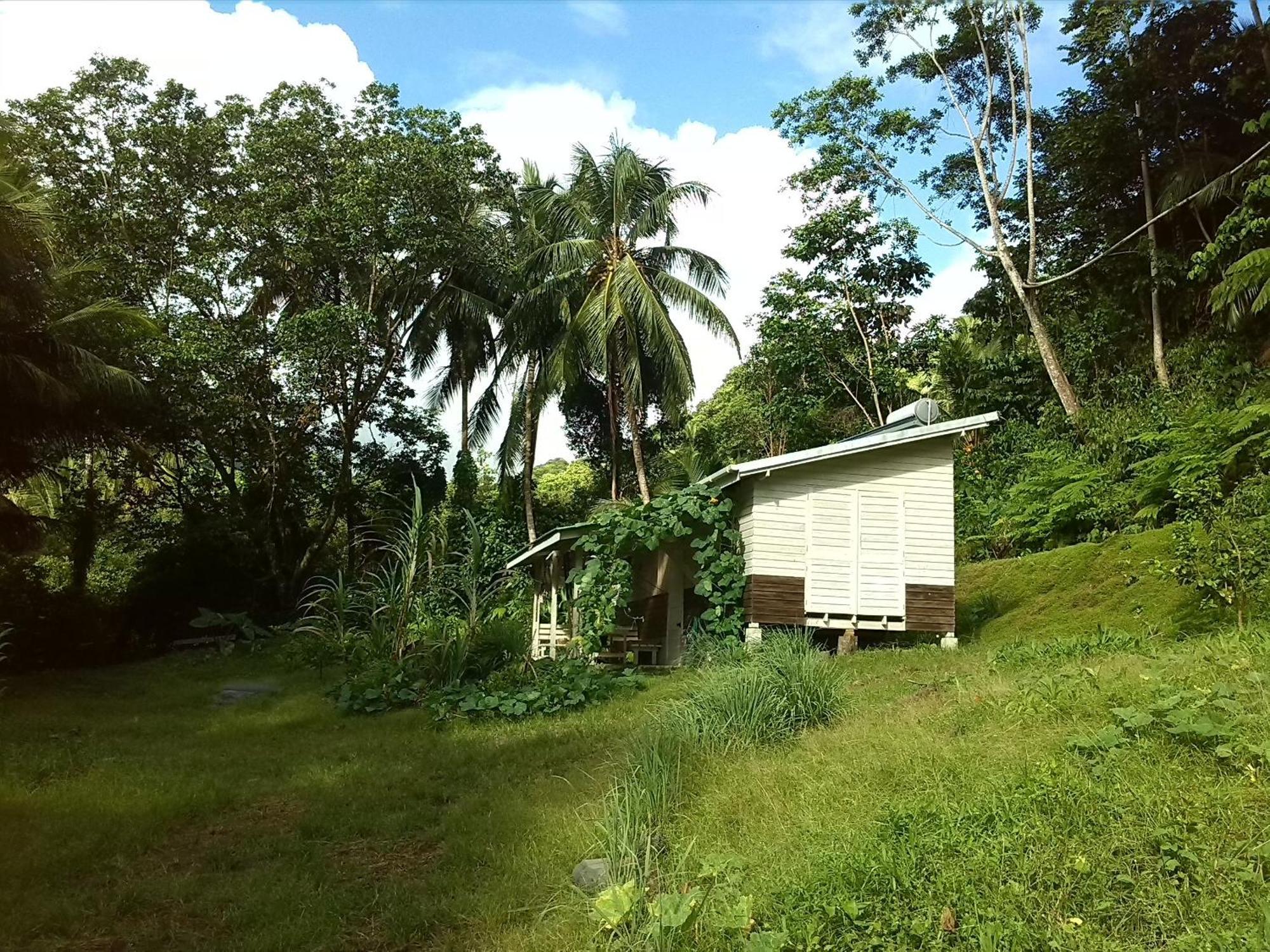 Citrus Creek Plantation Βίλα La Plaine Δωμάτιο φωτογραφία