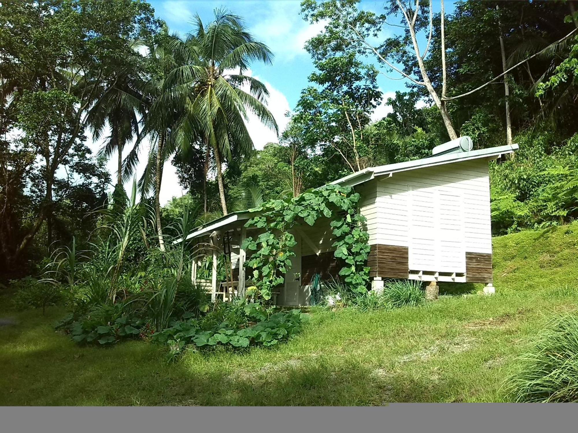 Citrus Creek Plantation Βίλα La Plaine Δωμάτιο φωτογραφία
