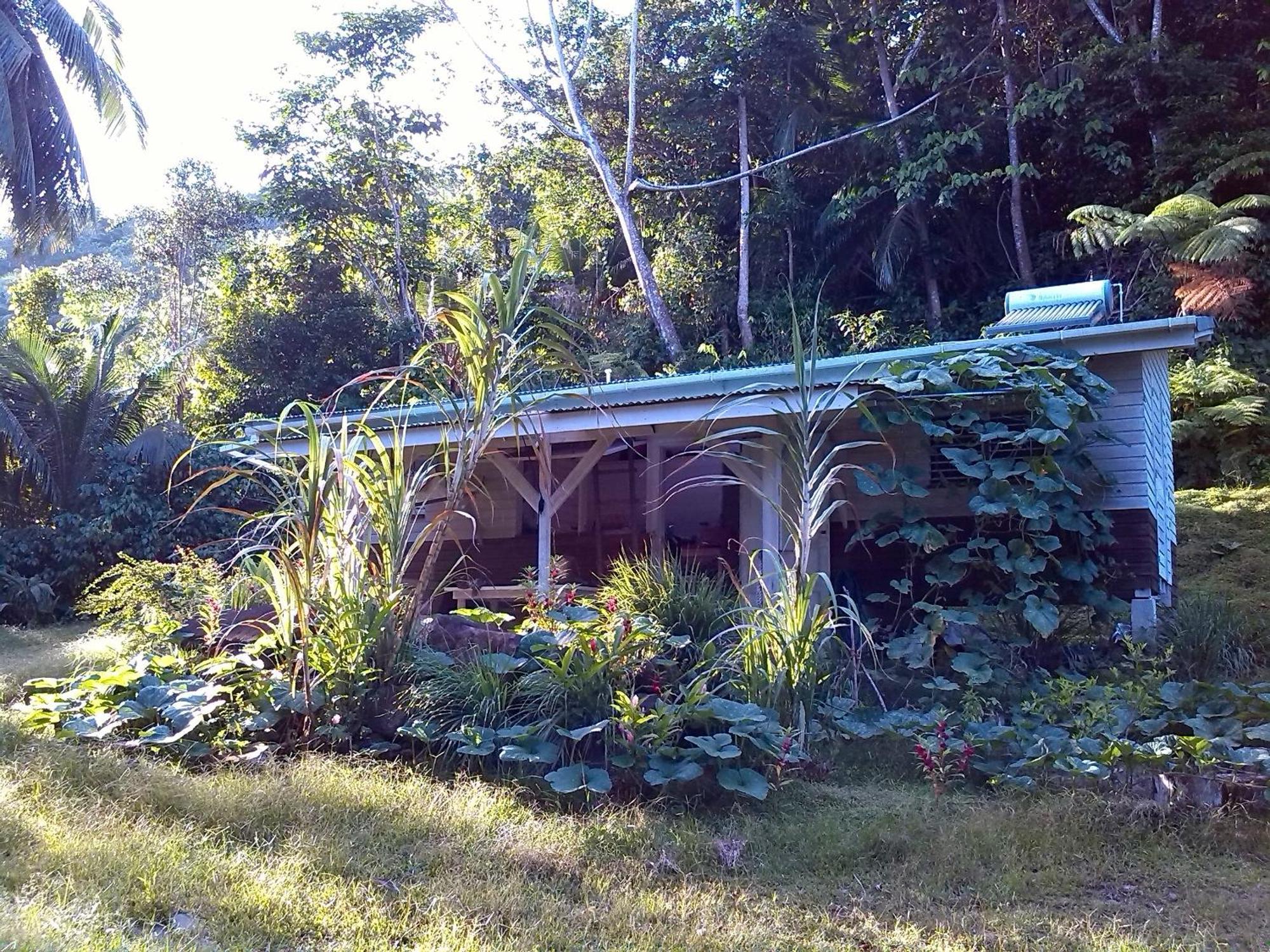 Citrus Creek Plantation Βίλα La Plaine Δωμάτιο φωτογραφία