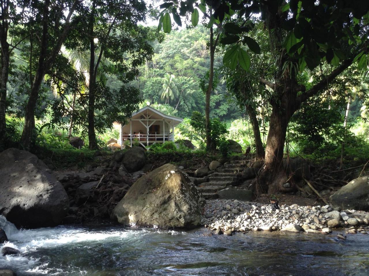 Citrus Creek Plantation Βίλα La Plaine Εξωτερικό φωτογραφία