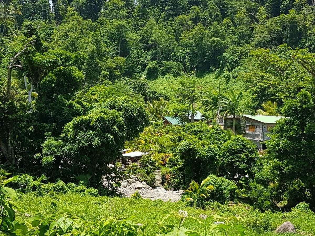 Citrus Creek Plantation Βίλα La Plaine Εξωτερικό φωτογραφία